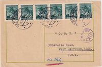 picture of item a2587