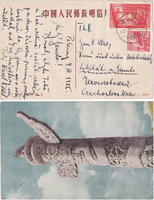 picture of item b2654